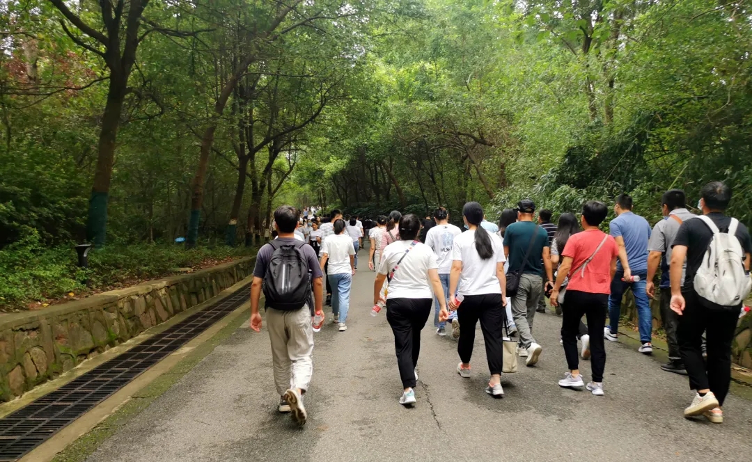 ̬湤һ˶bsportƼɽԲĻ