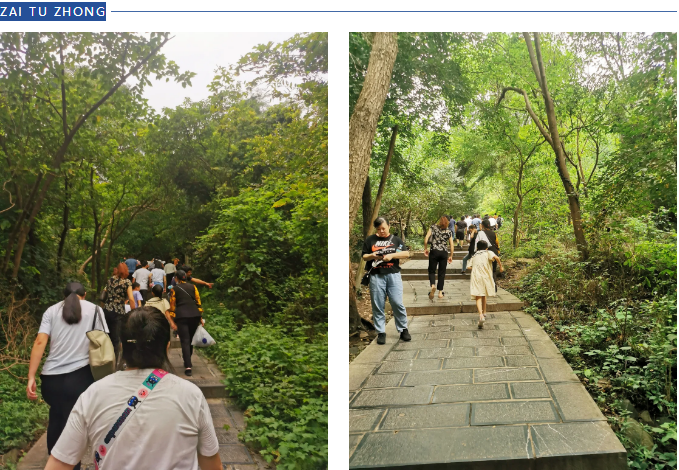 ̬湤һ˶bsportƼɽԲĻ