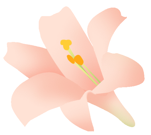 ̬Լ ݮá ձһ˶bsportŮڲժ